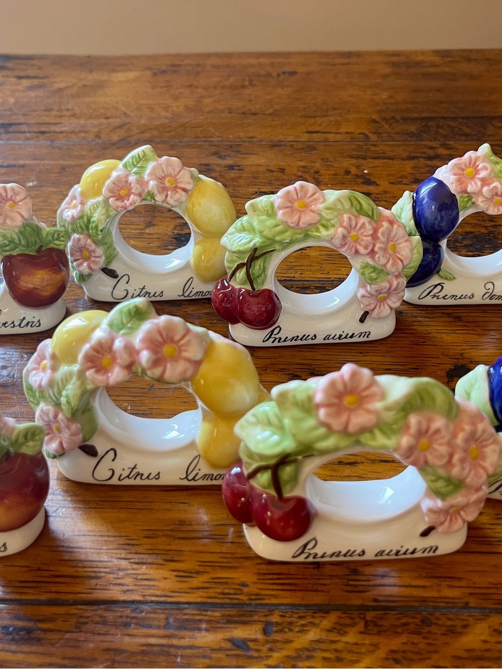 Villeroy & Boch Ceramic Fruit Napkin Rings (8) in Pink, Green & Yellow